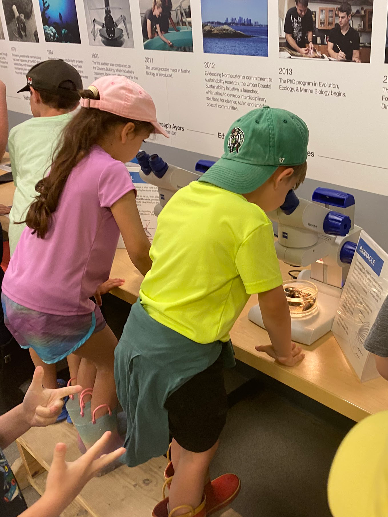 Kindergarten students use microscopes to look at marine life