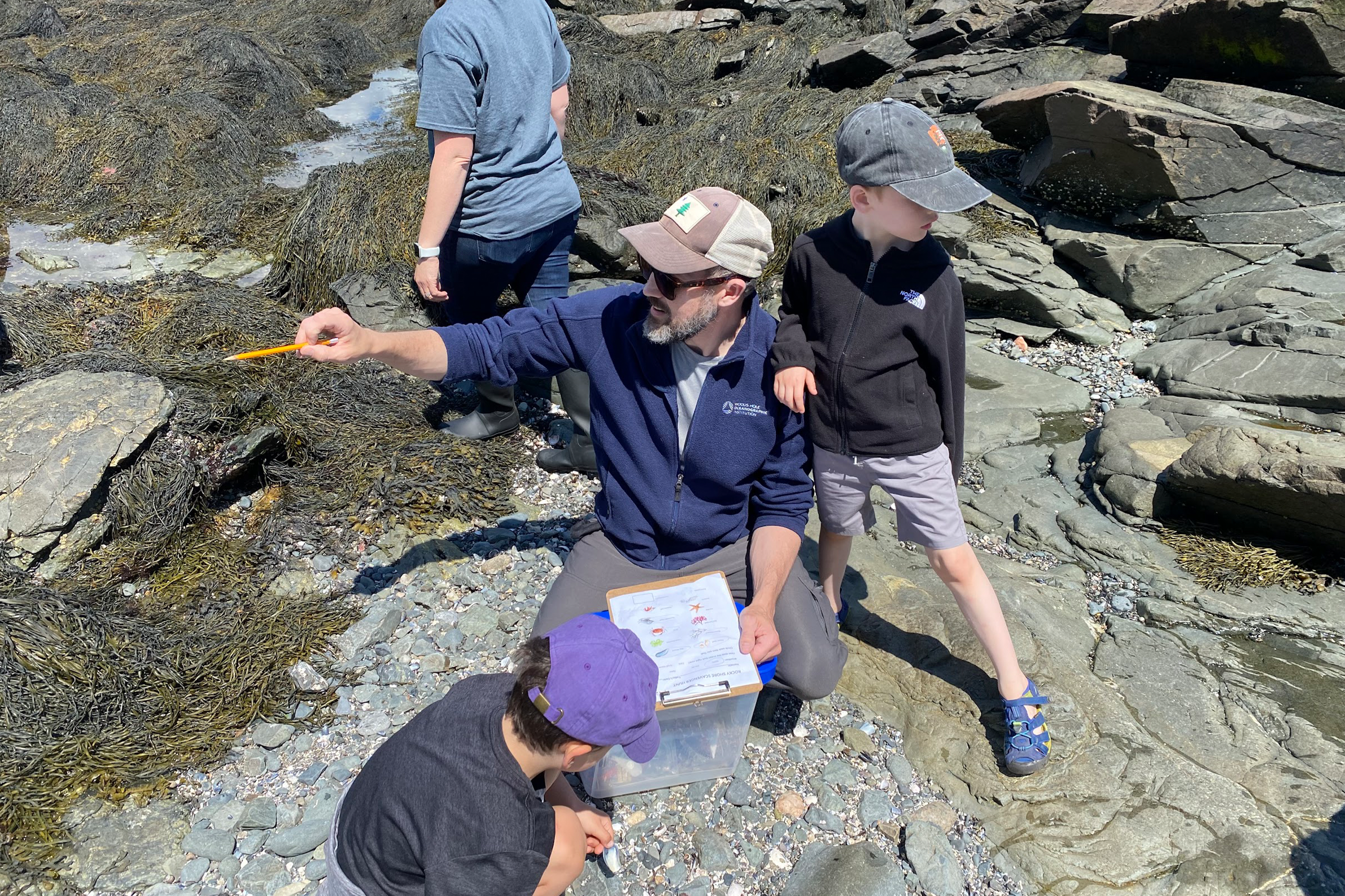 Kindergarten students search for marine creatures